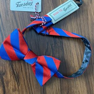 Orange and Blue Striped Bow Tie